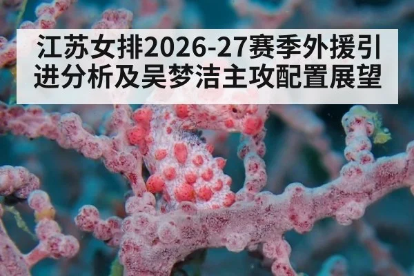 江苏女排2026-27赛季外援引进分析及吴梦洁主攻配置展望